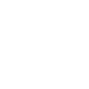 Oyster Mushrooms (fresh)