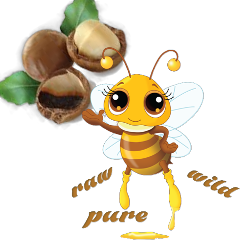 Macadamia Honey